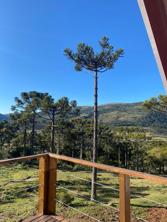Altitude Maxima - Cabanas De Altitude ウルビシ エクステリア 写真