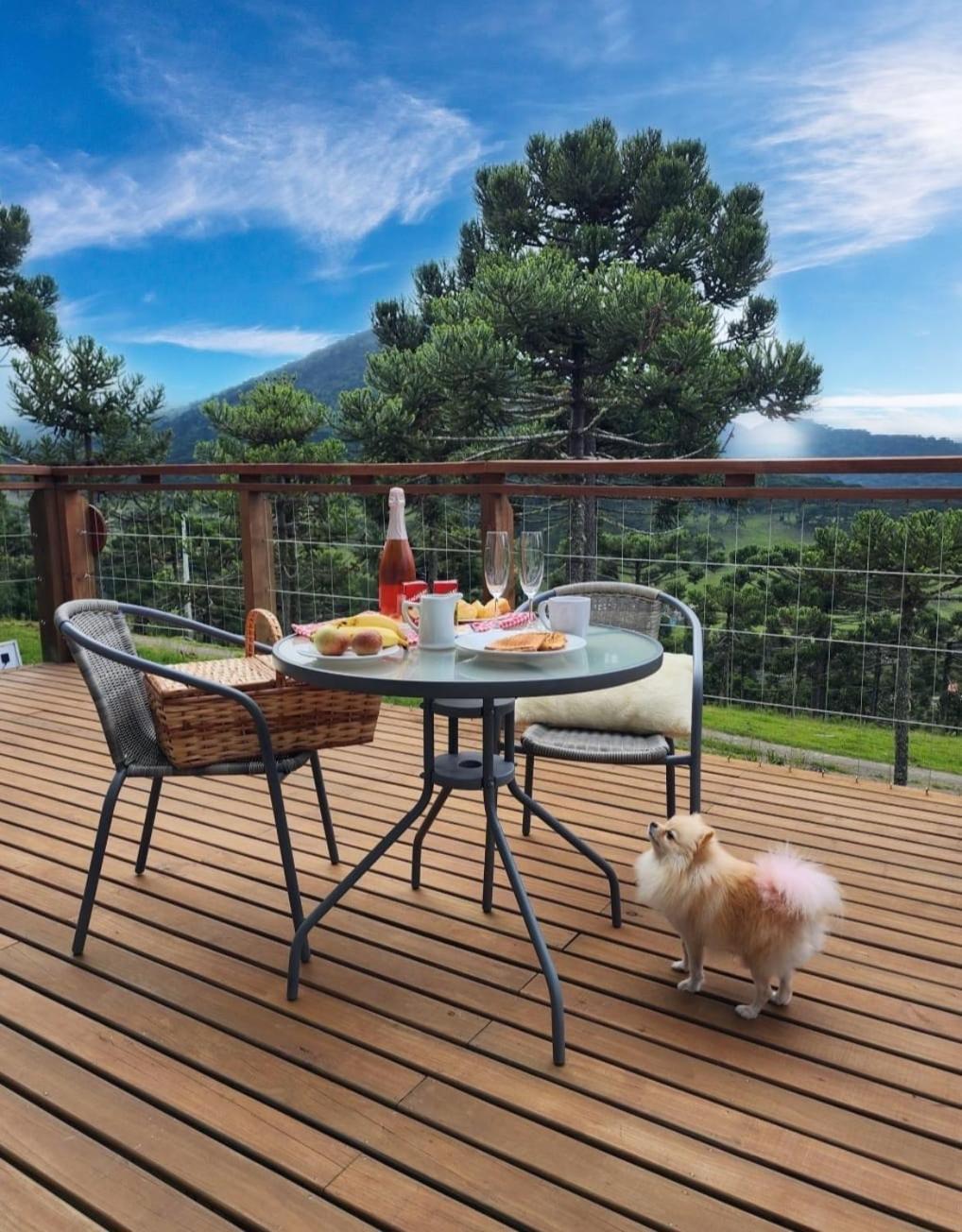 Altitude Maxima - Cabanas De Altitude ウルビシ エクステリア 写真